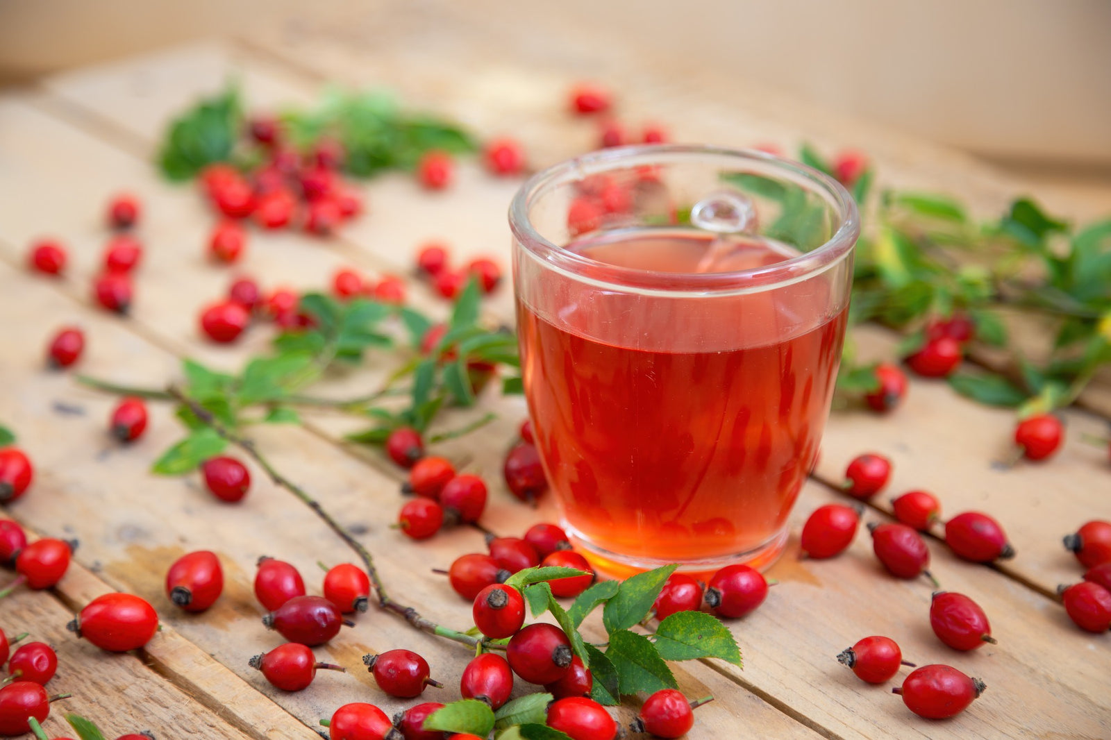 Health Benefits of Rosehips