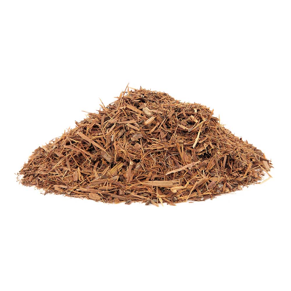 Catuaba Bark (Erythroxylum catuaba) | Biokoma
