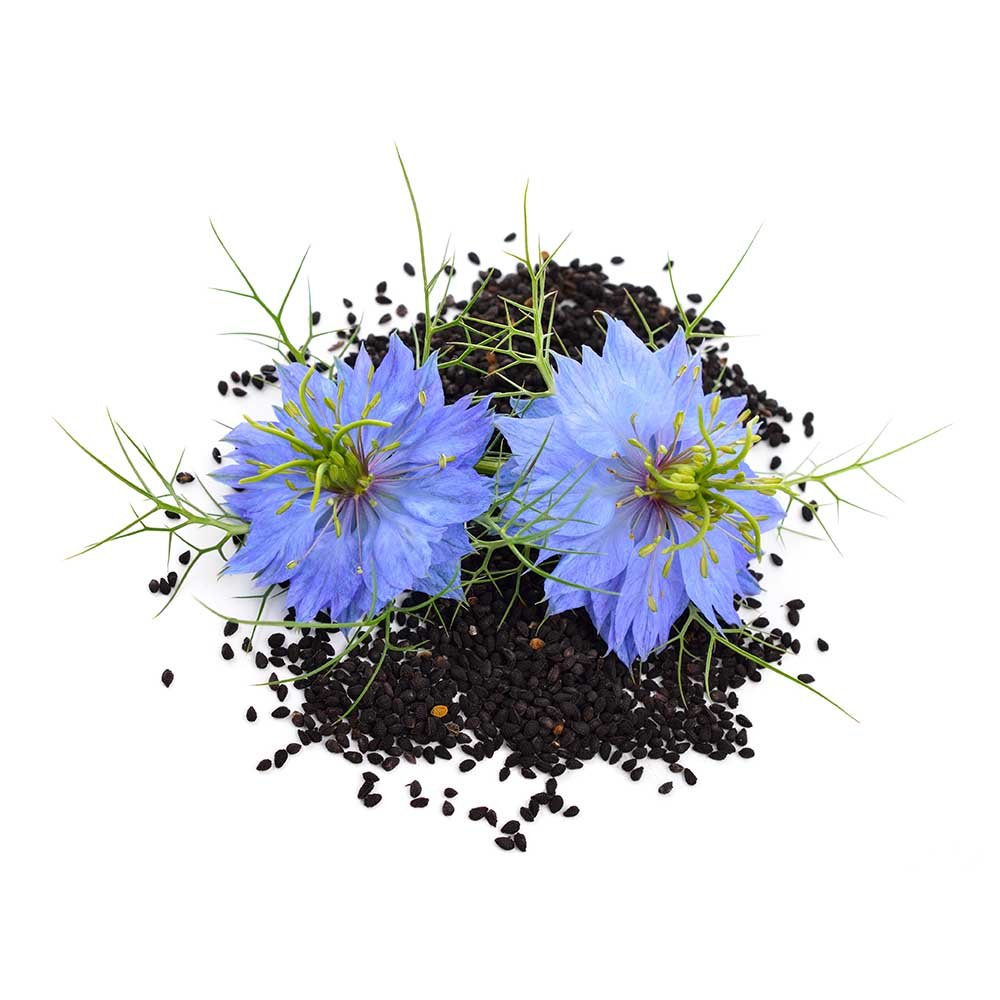 Miracle Black Seeds - BIOKOMA® - Dried Herbs