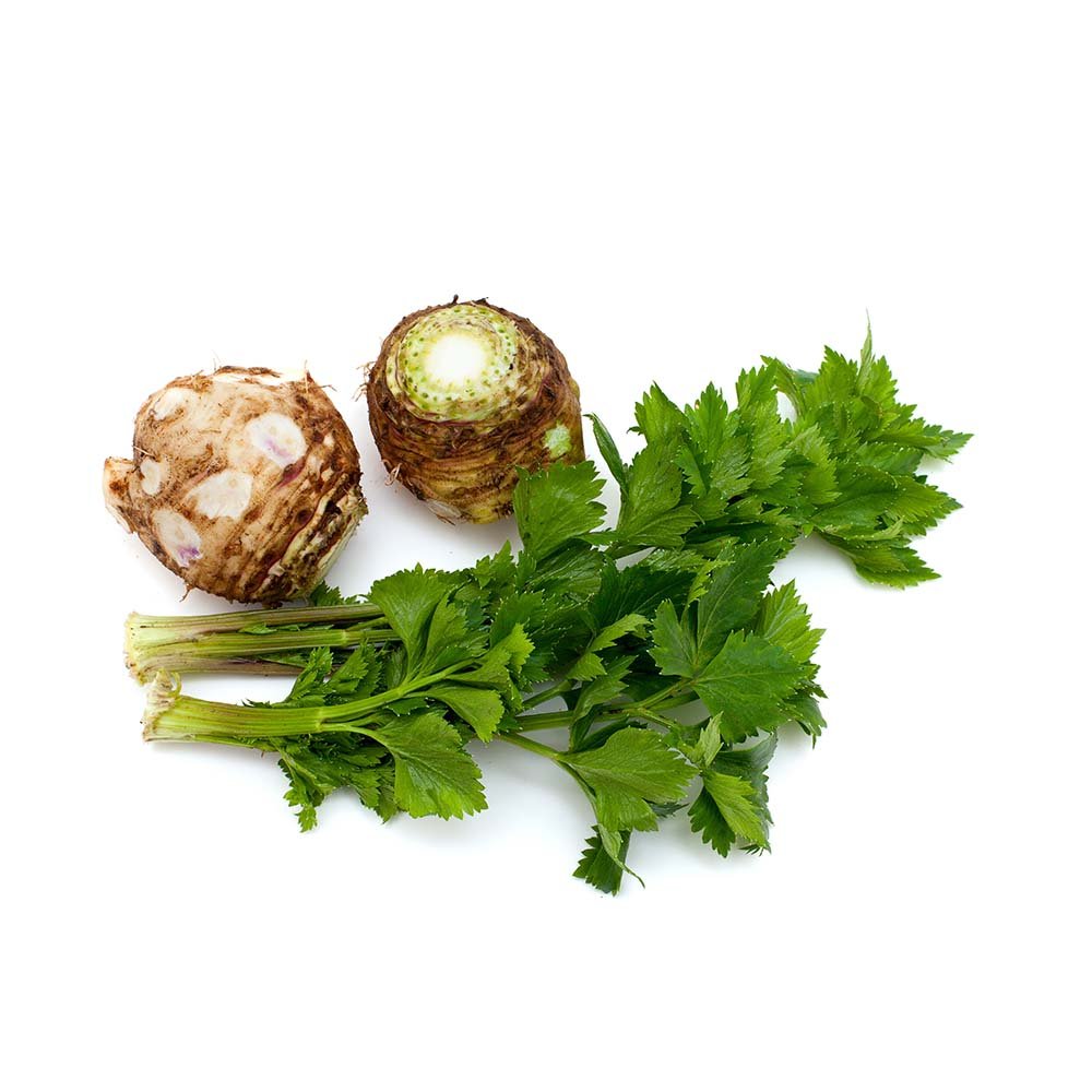 Lovage (Levisticum officinale) Dried Root - BIOKOMA® - Dried Herbs