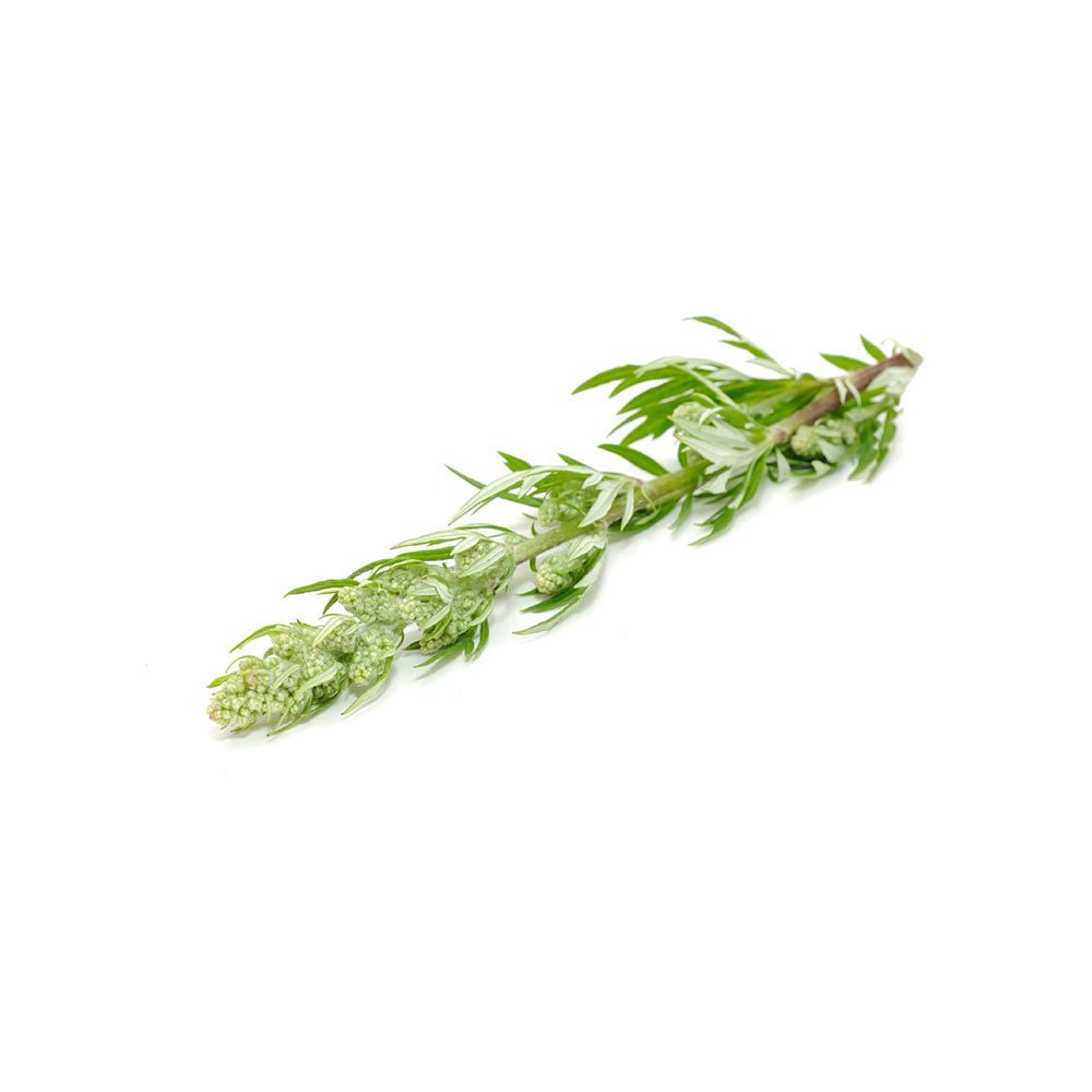 Organic Mugworth (Artemesia vulgaris) Dried Herb - BIOKOMA® - Dried Herbs