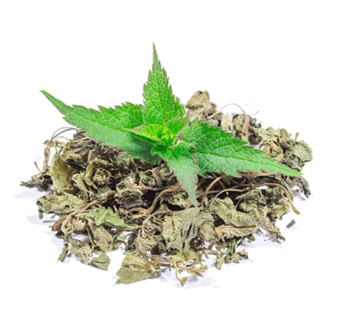How Does Nettle Leaf Tea Help With Detoxing? - BIOKOMA® - Dried Herbs