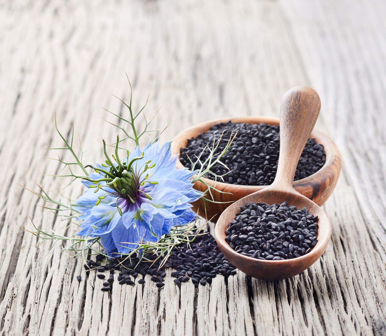 Black seeds (Nigella sativa) - tiny seeds with unique health-promoting properties - BIOKOMA® - Dried Herbs