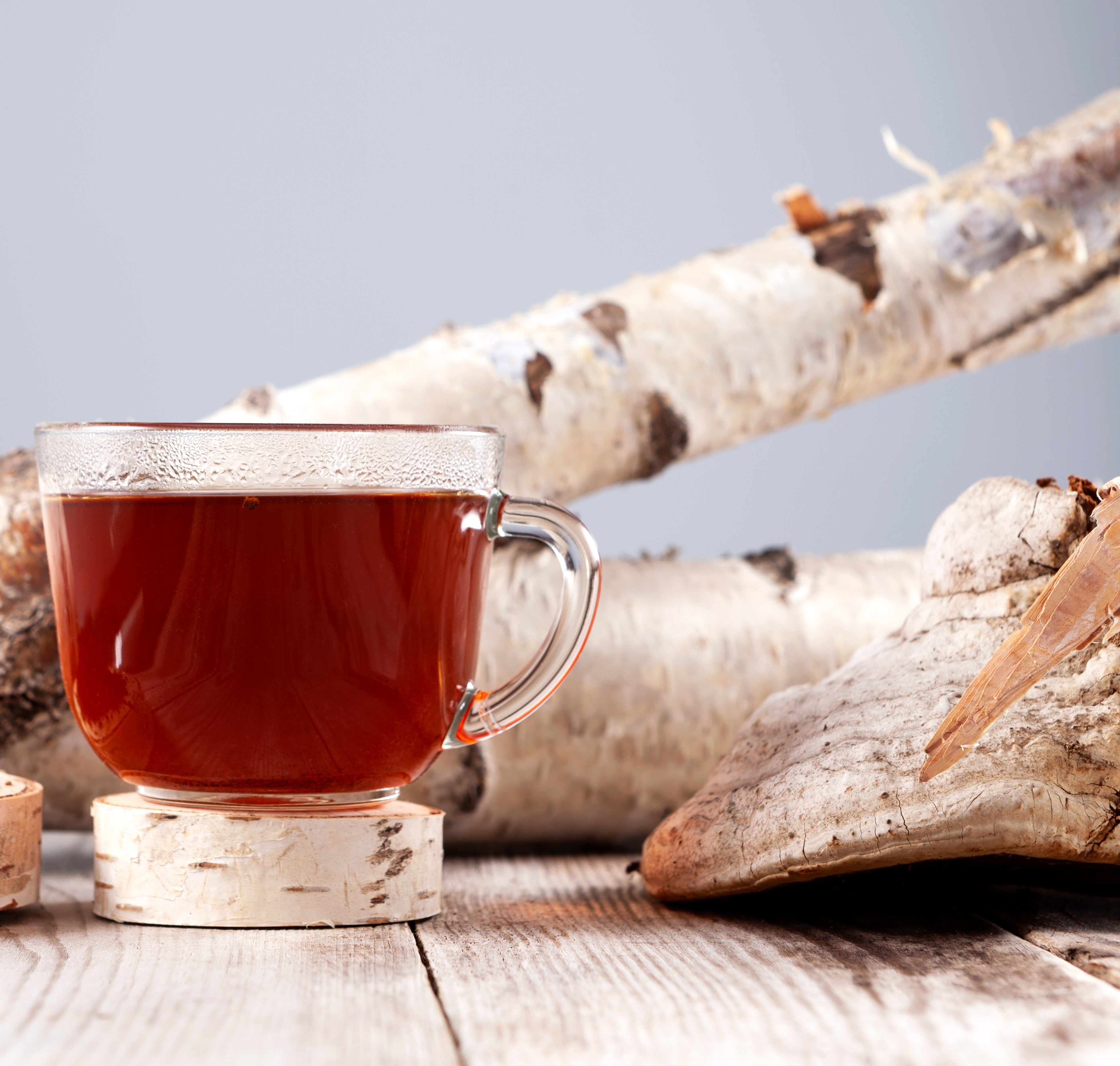 The life-giving power of birch bark - BIOKOMA® - Dried Herbs