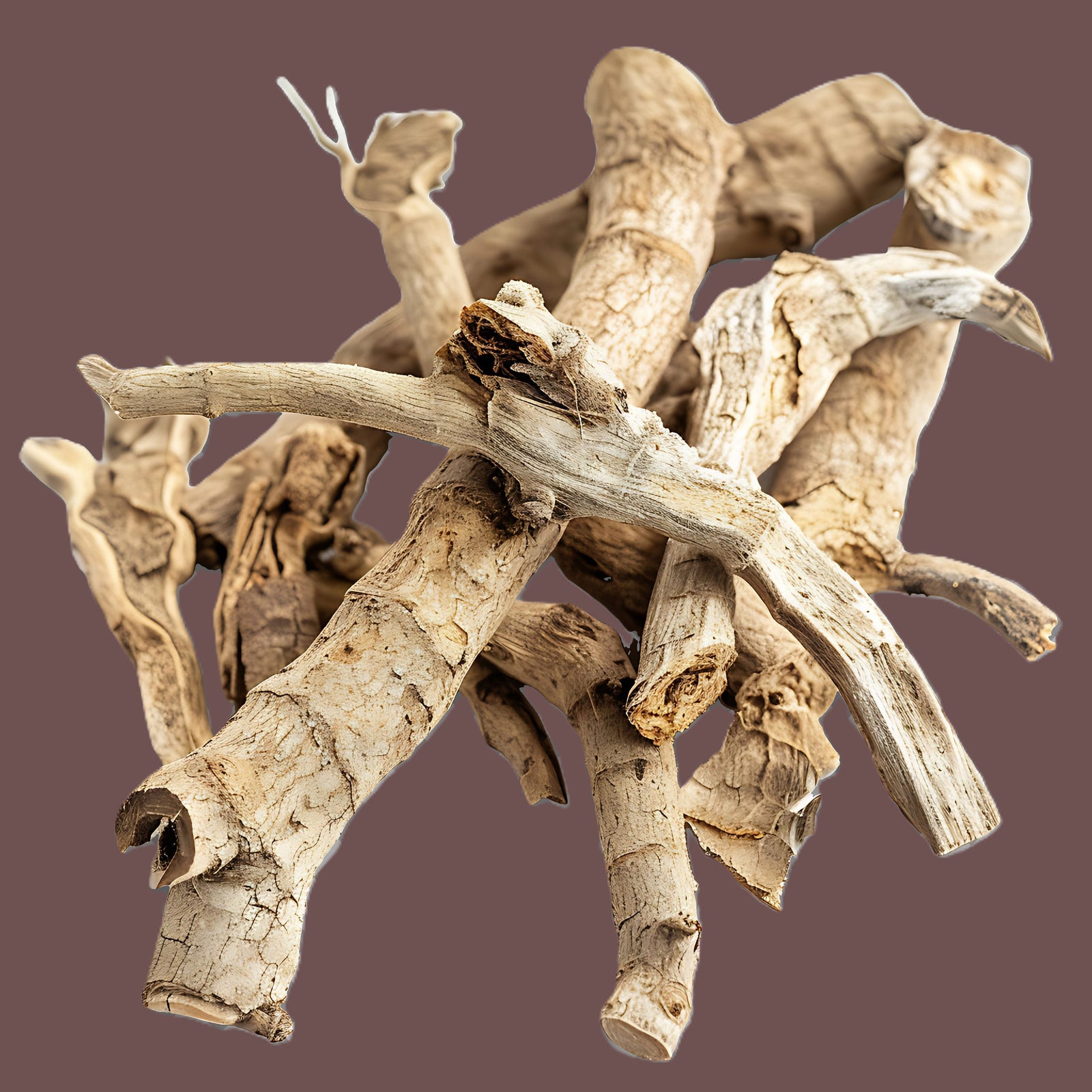 What is devil's claw? - BIOKOMA® - Dried Herbs