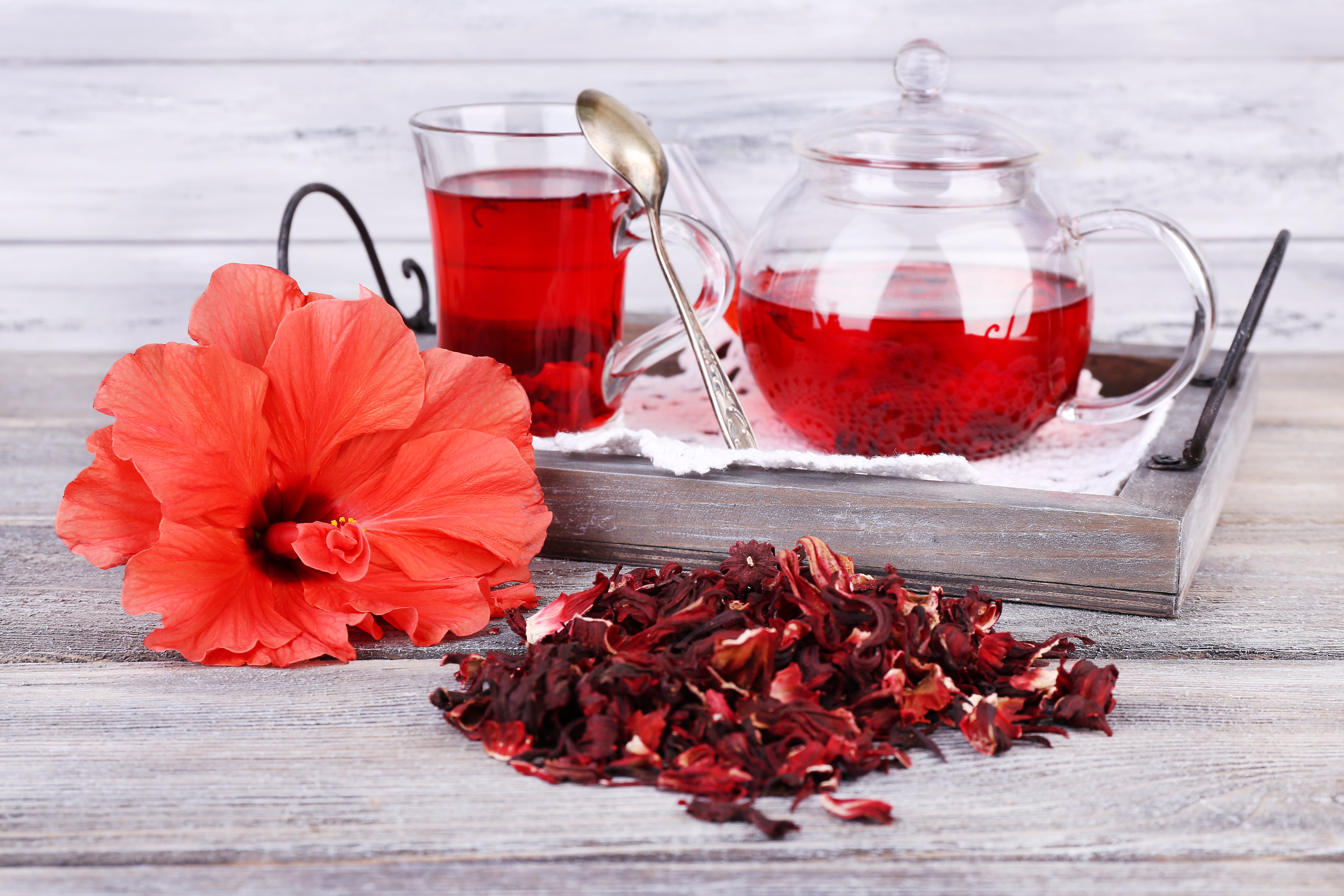 Hibiscus – A Powerful Plant with Many Benefits - BIOKOMA® - Dried Herbs