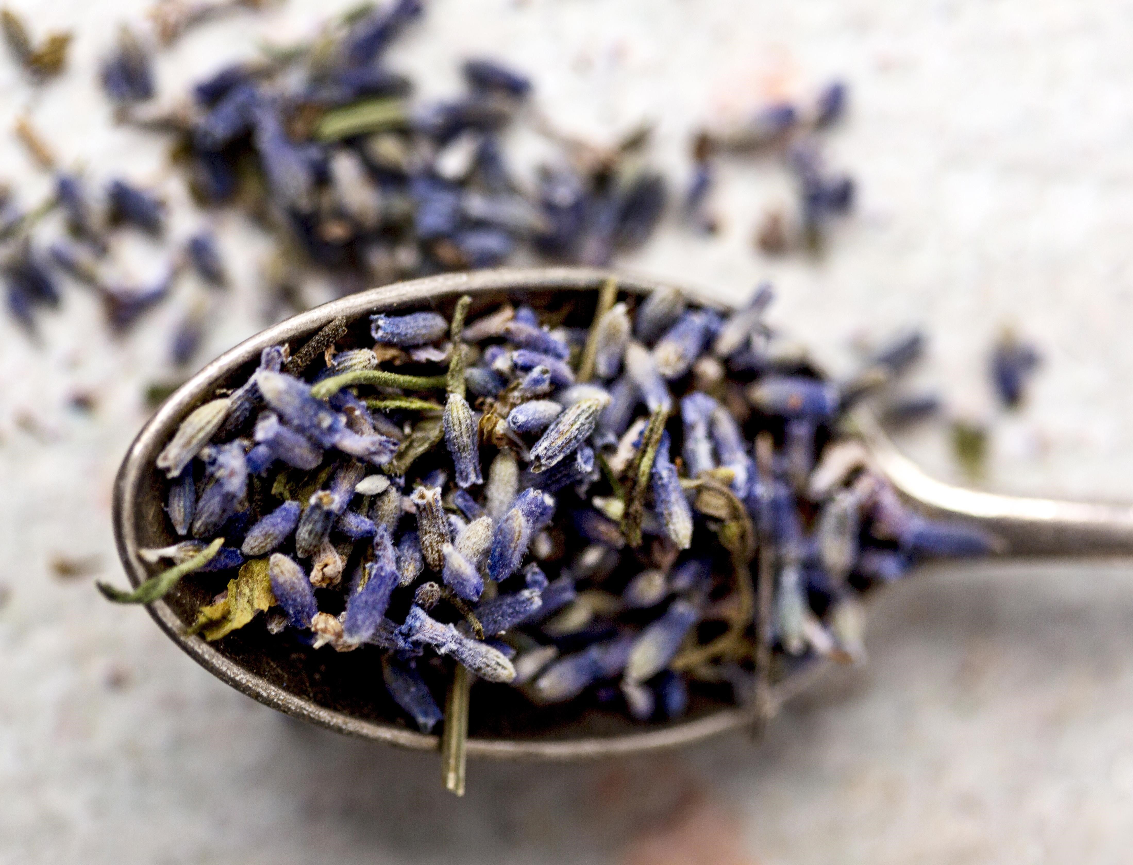 Lavender - not just a wonderful scent - BIOKOMA® - Dried Herbs