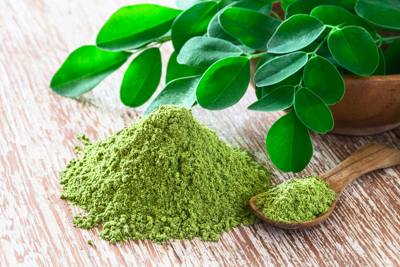 Moringa Leaves - superfood - BIOKOMA® - Dried Herbs