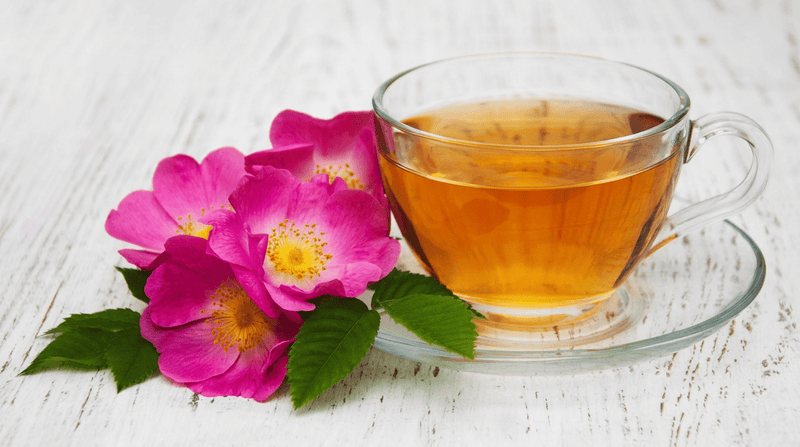 Why Cistus is More Than Just an Immunity Tea - The Truth About Bacterial Biofilms