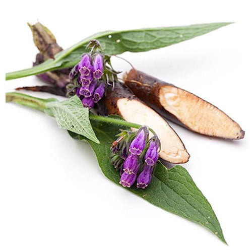 5 Skin Benefits of Comfrey Root