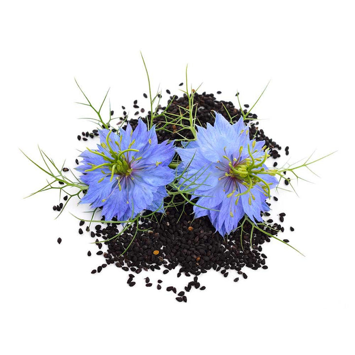 Miracle Black Seeds - BIOKOMA® - Dried Herbs