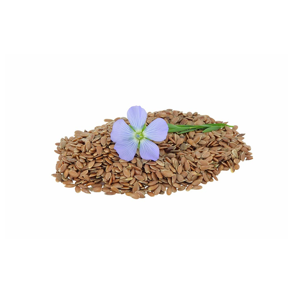 Flaxseed (Lini semen) Seeds Herbal Tea | Biokoma