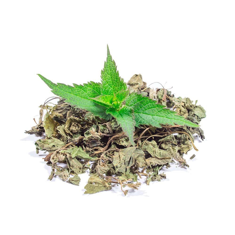 Benefits of Nettle (Urticae folium) Dried Leaves Herb - BIOKOMA® - Dried Herbs