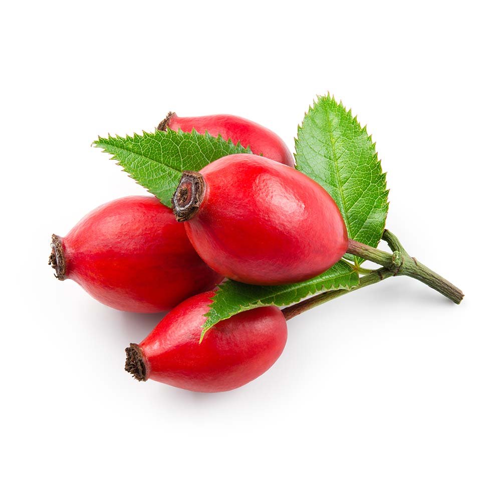 Rosehips (Rosaceae) Dried Fruits - BIOKOMA® - Dried Herbs