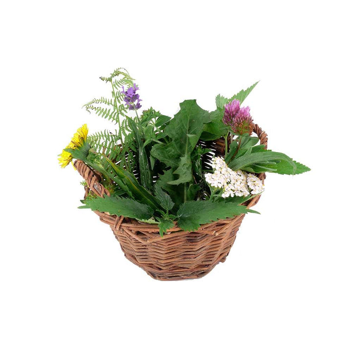The Swedish Bitters... - BIOKOMA® - Dried Herbs