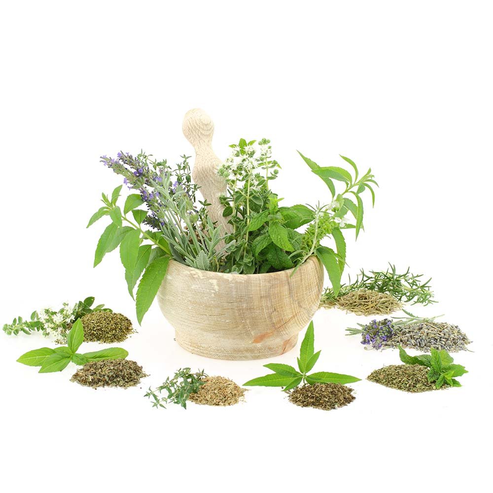 Why should you use products created from bio herbs? - BIOKOMA® - Dried Herbs