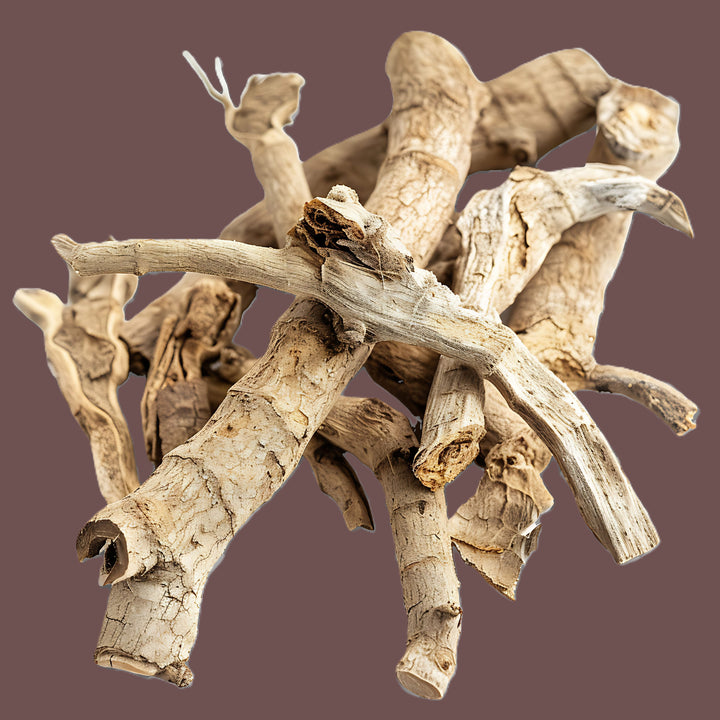 What is devil's claw? - BIOKOMA® - Dried Herbs