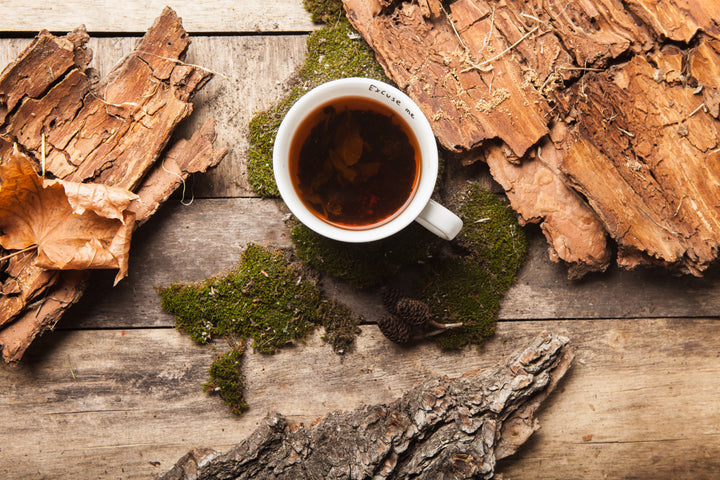 Lapacho - Inca Tea - an ancient drink with miraculous properties - BIOKOMA® - Dried Herbs