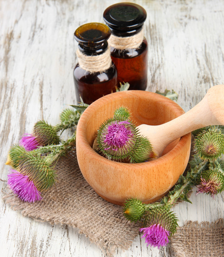 Liver Problems? Ask Herbs for Help - BIOKOMA® - Dried Herbs