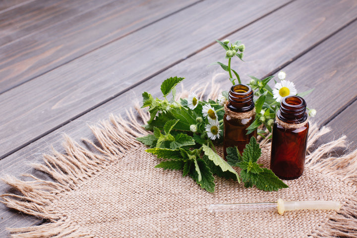 Herbs that help with sinusitis - BIOKOMA® - Dried Herbs