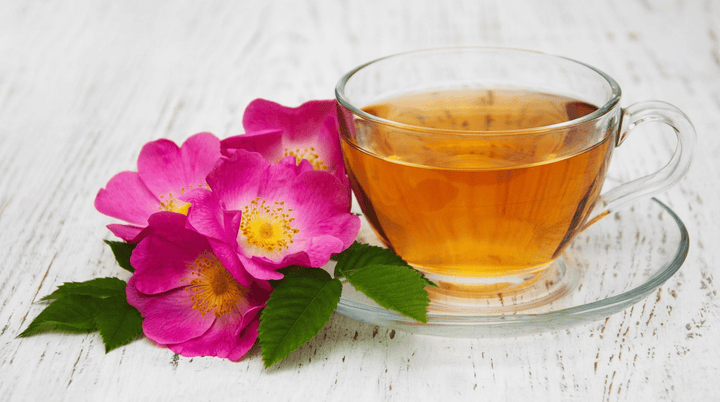 Why Cistus is More Than Just an Immunity Tea - The Truth About Bacterial Biofilms