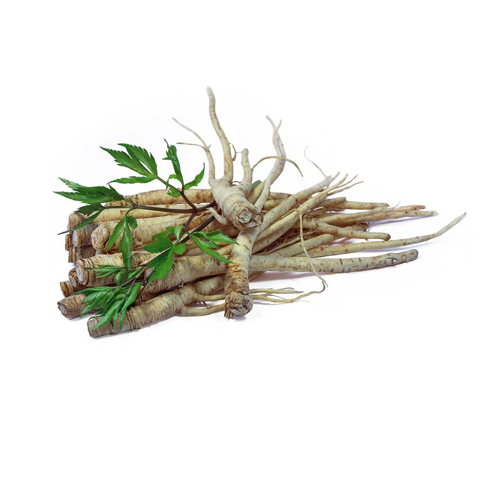 Root Herbs | BioKoma