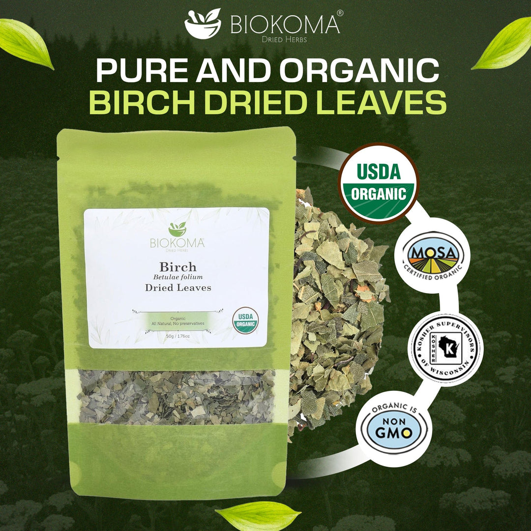 Birch (Betulae folium) Organic Dried Leaves 50g 1.76oz - BIOKOMA® - Dried Herbs