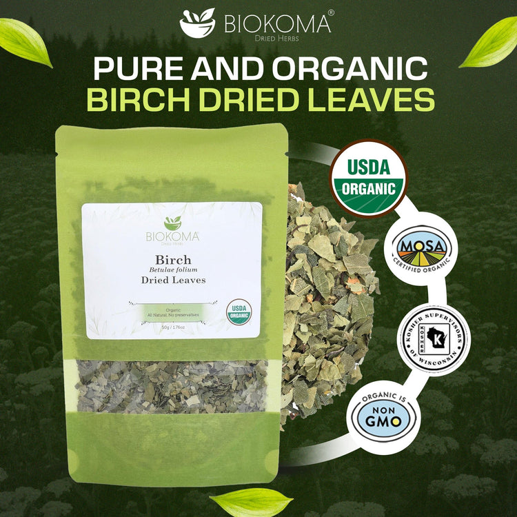 Birch (Betulae folium) Organic Dried Leaves 50g 1.76oz - BIOKOMA® - Dried Herbs
