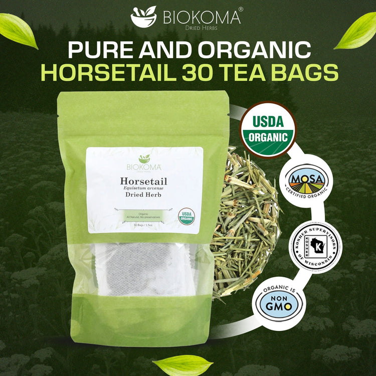 Horsetail (Equisetum arvense) Organic Dried Leaves 30 Tea Bags 1.5oz - BIOKOMA® - Dried Herbs