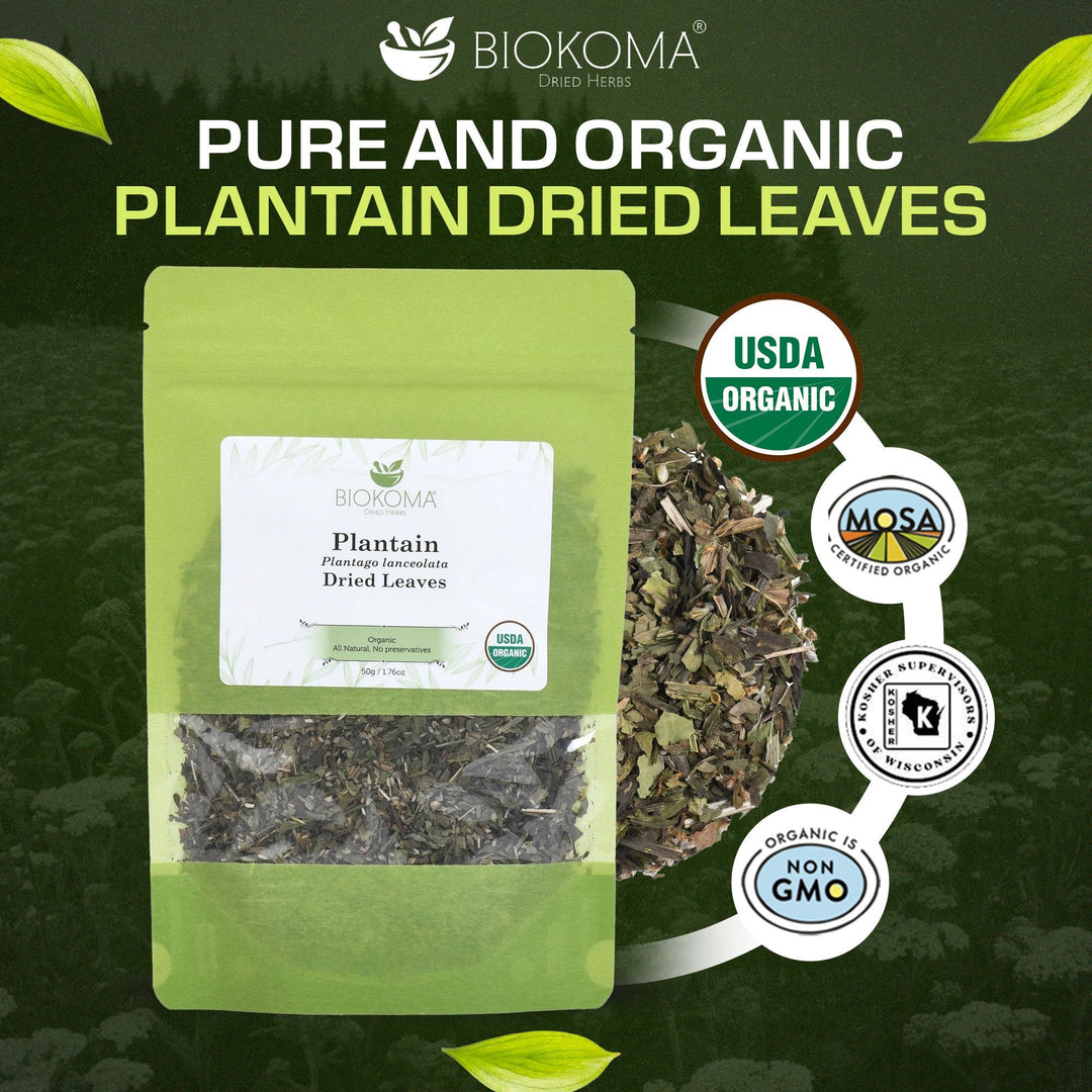 Plantain (Plantago lanceolata) Organic Dried Leaves 50g 1.76oz - BIOKOMA® - Dried Herbs