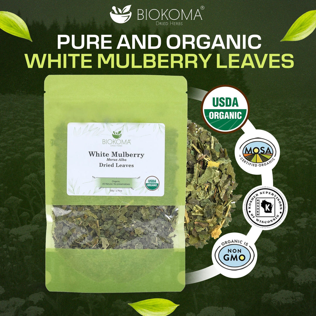 White Mulberry (Morus alba) Organic Dried Leaves 50g 1.76oz - BIOKOMA® - Dried Herbs