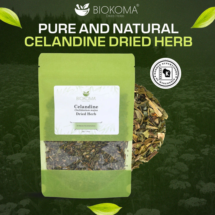 Celandine (Chelidonium majus) Dried Herb 50g 1.76oz - BIOKOMA® - Dried Herbs