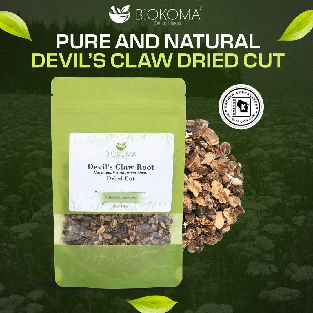 Devil's Claw Root (Harpagophytum procumbens) Dried Cut 100g 3.55oz - BIOKOMA® - Dried Herbs