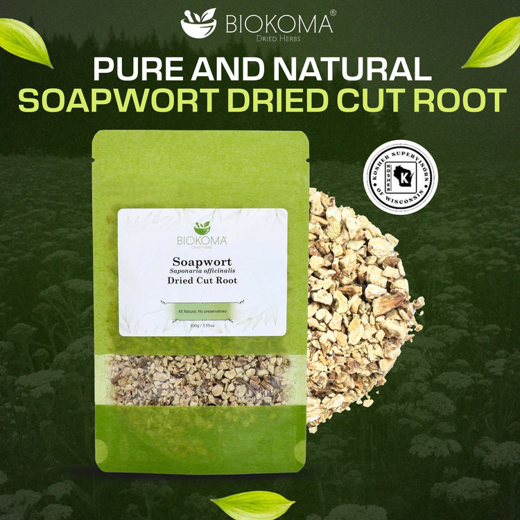 Soapwort (Saponaria officinalis) Dried Root 100g 3.55oz - BIOKOMA® - Dried Herbs