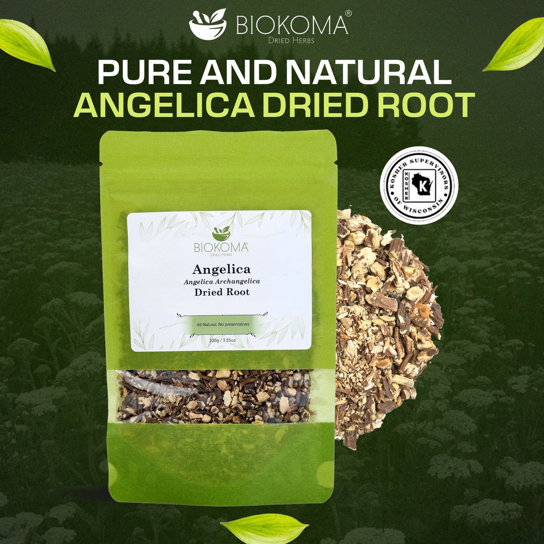 Angelica Root (Angelica Archangelica) Dried Root 100g 3.55oz - BIOKOMA® - Dried Herbs