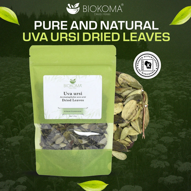 Uva ursi (Arctostaphylos uva ursi) Dried Leaves 50g 1.76oz - BIOKOMA® - Dried Herbs