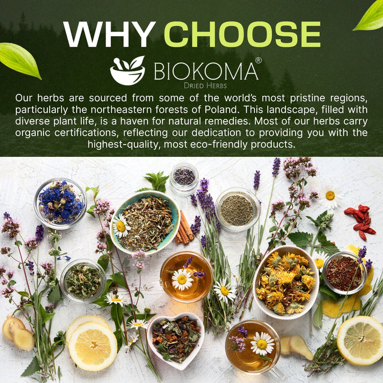 Small - Flowered Willow (Epilobium parviflorum) Organic Dried Herb 30 Tea Bags 1.5oz - BIOKOMA® - Dried Herbs