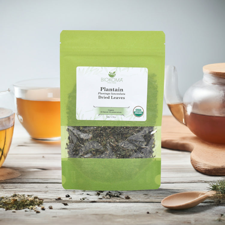 Organic Herb - Plantain (Plantago Lanceolata)
