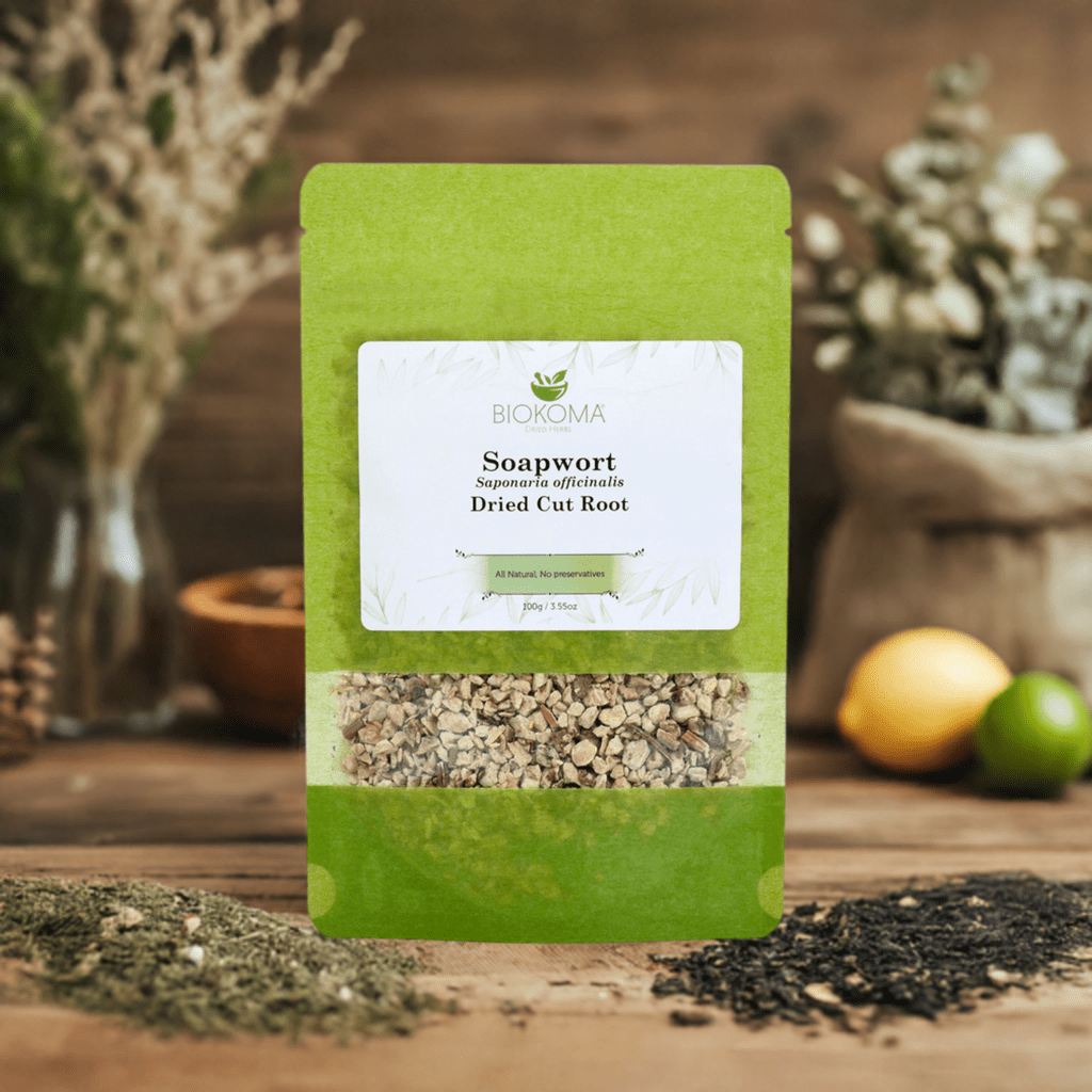 Soapwort (Saponaria officinalis) Dried Root 100g 3.55oz - BIOKOMA® - Dried Herbs