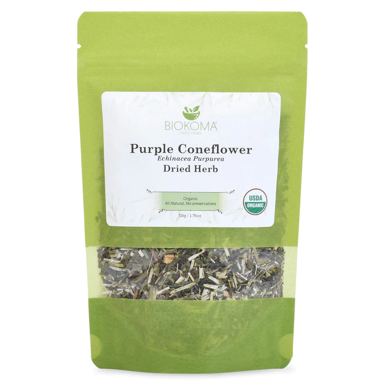 Purple coneflower herb