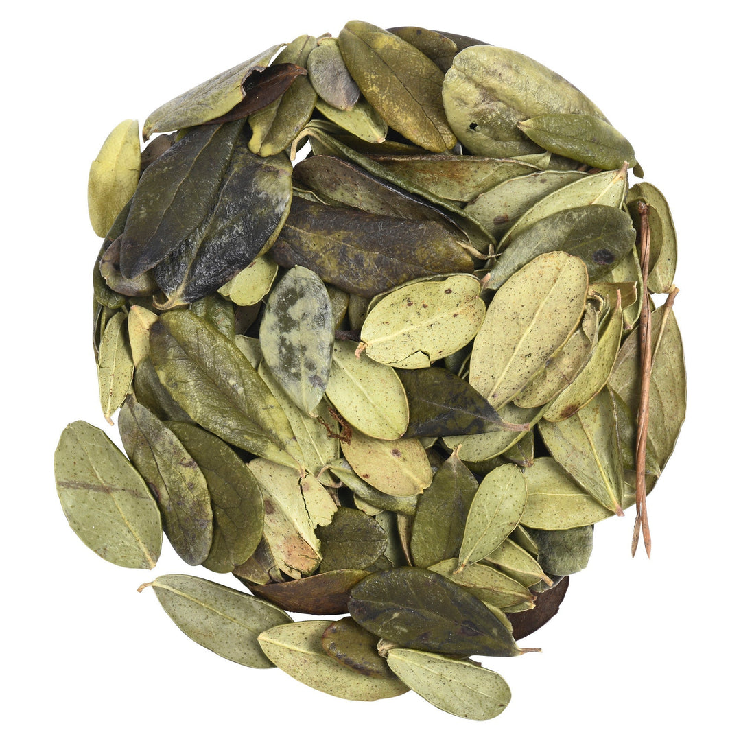 Uva ursi (Arctostaphylos uva ursi) Dried Leaves 50g 1.76oz - 07.31.2026 - BIOKOMA® - Dried Herbs