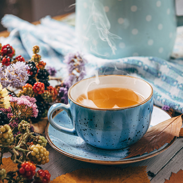 Herb - Catnip (Nepeta Cataria) Dried Herb Herbal Tea