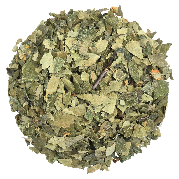 Organic Birch (Betulae folium) Dried Leaves Herbal Tea