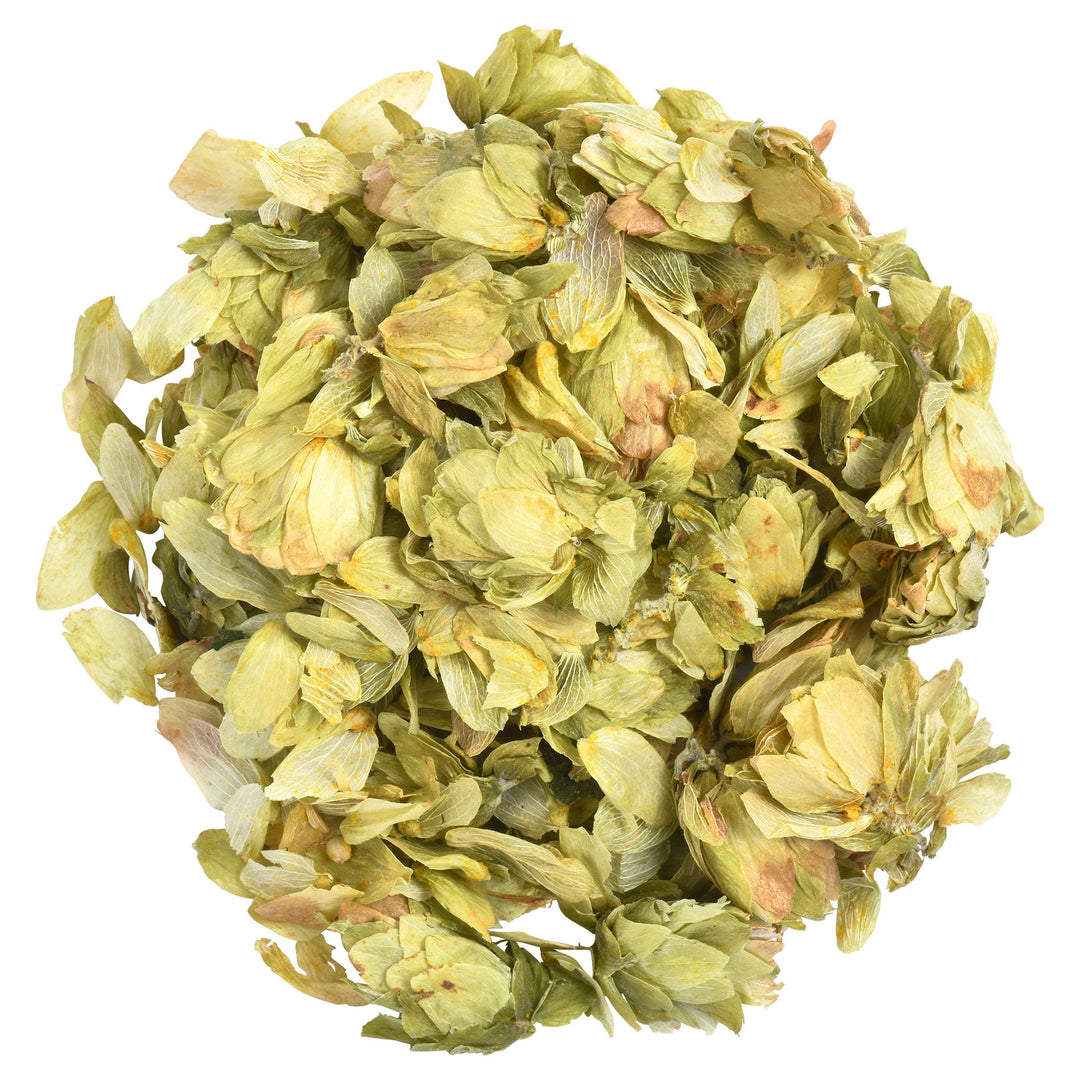 Hops Humulus Lupulus Dried Flowers Herbal Tea for Relaxation